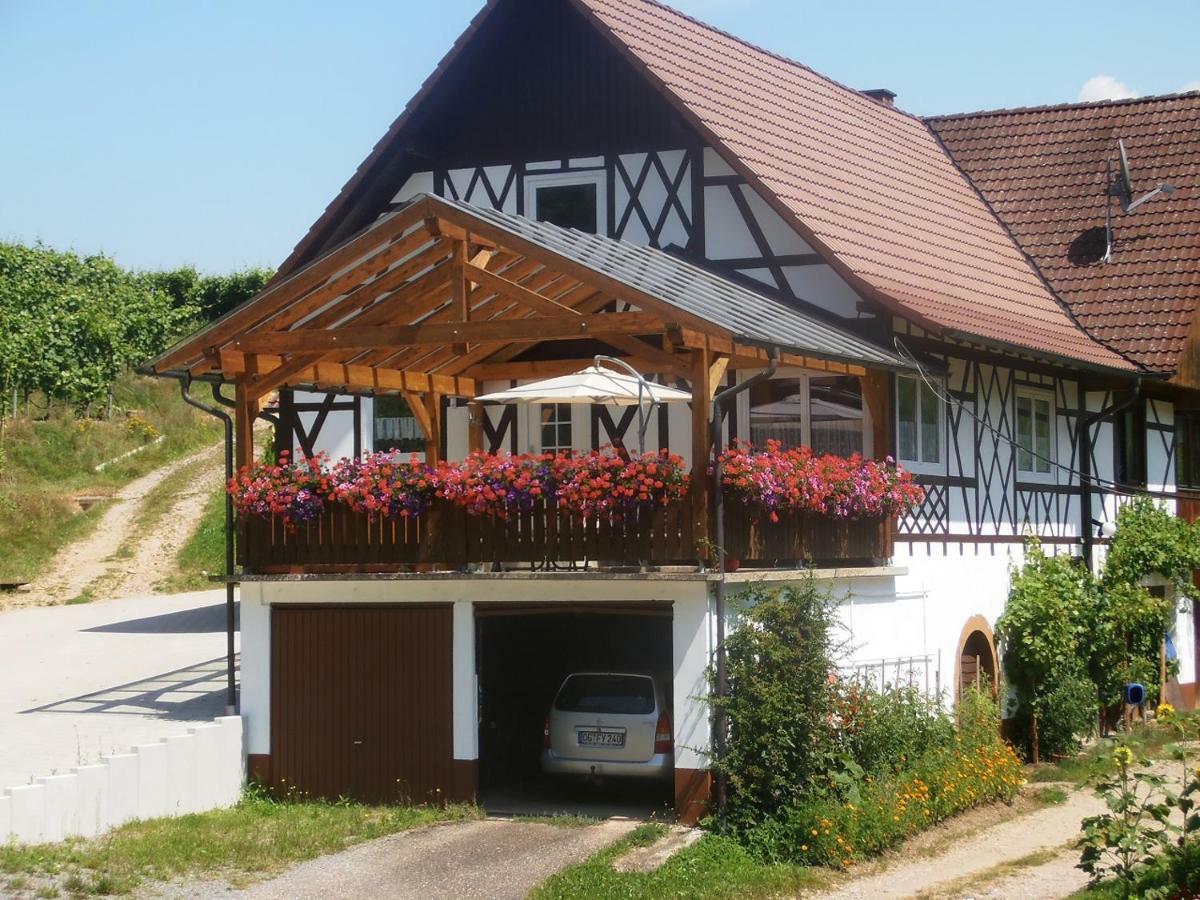 Steinhof Apartment Oberkirch  Exterior photo